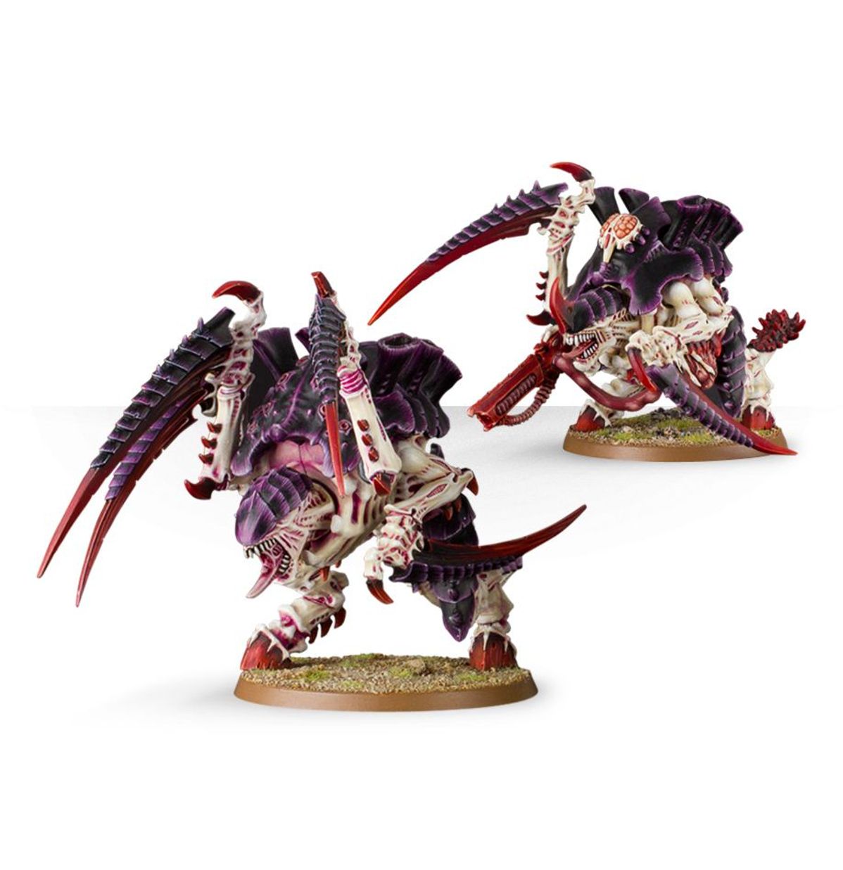 Carnifex Brood - Tyranids - Warhammer 40k