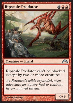 Ripscale Predator - Gatecrash (Uncommon) [GTC-103]