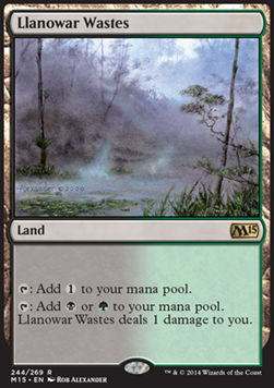 Llanowar Wastes⁣ - Magic 2015⁣ (Rare)⁣ [244]
