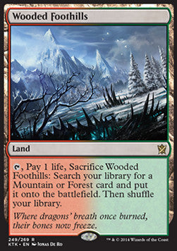 Wooded Foothills - Khans of Tarkir (Rare) [KTK-249]