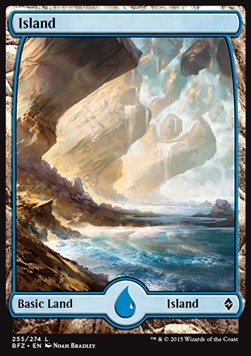 Island (V.1) - Battle for Zendikar (Land) [BFZ-255]