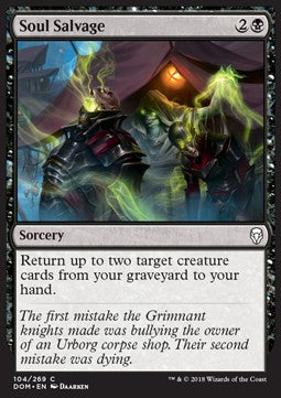 Soul Salvage - Dominaria (Common) [DOM-104]