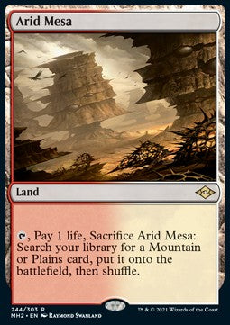 Arid Mesa⁣ - Modern Horizons 2⁣ (Rare)⁣ [244]