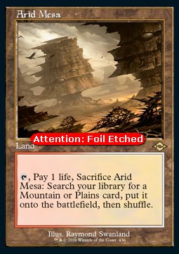 Arid Mesa (V.2)⁣ - Modern Horizons 2: Extras⁣ (Rare)⁣ [436]
