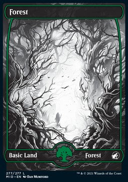 Forest (V.2) - Innistrad: Midnight Hunt (Land) [MID-277]