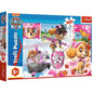 Trefl Paw Patrol, 100 pcs., 5+ years