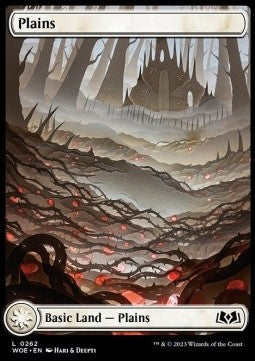 Plains⁣ - Wilds of Eldraine⁣ (Land)⁣ [262]