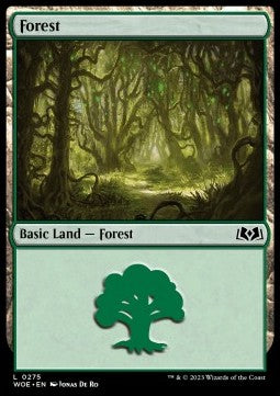 Forest (V.2) - Wilds of Eldraine (Land) [WOE-275]