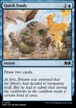 Quick Study - Wilds of Eldraine (Common) [WOE-65]