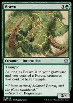 Brawn⁣ - Commander: Modern Horizons 3⁣ (Uncommon)⁣ [224]