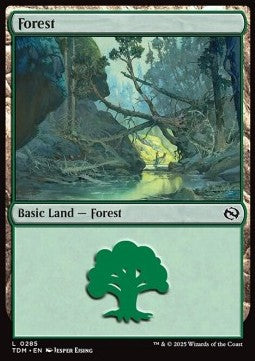 Forest (V.2) - Tarkir: Dragonstorm (Land) [TDM-285]