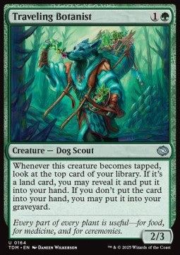 Traveling Botanist - Tarkir: Dragonstorm (Uncommon) [TDM-164]