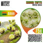 Tuft - Shrub tuft