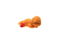 Pokémon Plush: Charmander Sleeping 12cm