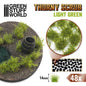 LIGHT GREEN - Thorny Scrubs - Green Stuff World